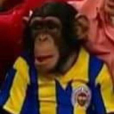 Berattin