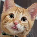 CamKittiesTTV