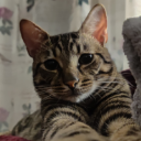 MaxiWick3d