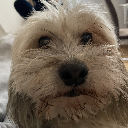 MrStinky
