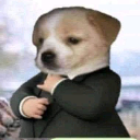 jifo
