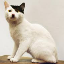adolf kitlerfarm