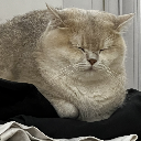 我不是本尊也不是農夫 是漁夫