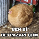 Abızıttın