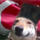 Ezici Kasap