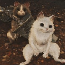 ぱんこ