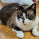 Cait Sith