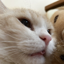 たいみぃ