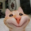 الشامي