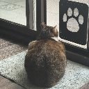 Maomao