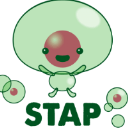§STAP細胞§