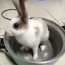 E mily過期牛奶