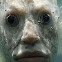 ThyDirtyUrinal