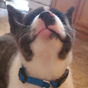 Sepi