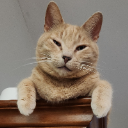 Lord Terreh