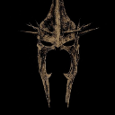 Aragorn