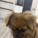Tysoo