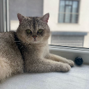 KARAES