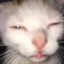 Yako