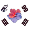 해바라기