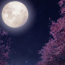 Lunar_Rose