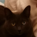 Jolee