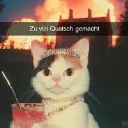FeuerFrosch
