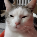 ZenMaster