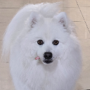 honkaye