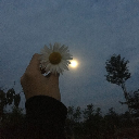 沈不令