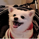 천부적 한량