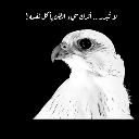 عربيد