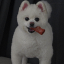 라라빠_