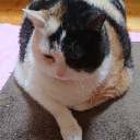 あまみん