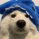 Inactive HOTDOG