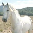 Shadowfax