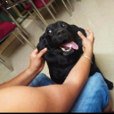 samuz