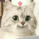 kadser