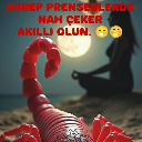 İsabell tuğçe