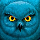 FlipN DaBird