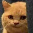 JaeGer