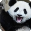 ꧁༒PANDA3༒꧂