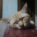 tan_tan