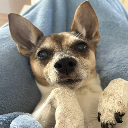 LailaPoo