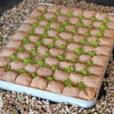 sogukbaklava