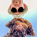 PapayaRules001