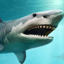 Jaws