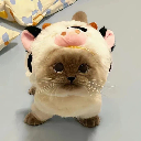 养只鹿