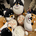 ねりからし