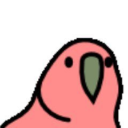 インコ団長